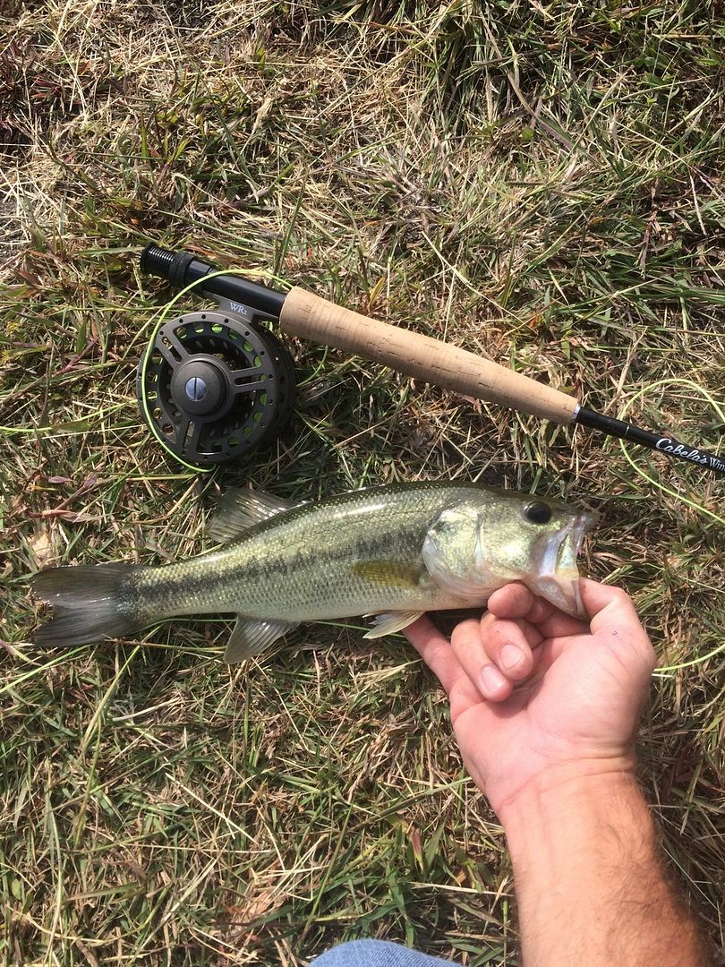 Community Lakes Bank Fishing Texas Fishing Forum